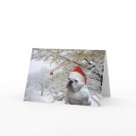 Doggie Christmas greeting card