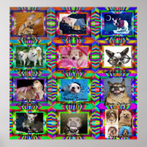 Doggie Doodles Poster Print