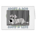 Doggie Jail Card