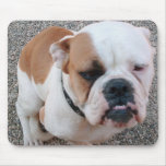 Doggie mousepads