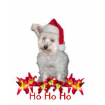Doggie Santa With Daylilies t-shirts