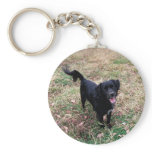 Doggy Pose keychains