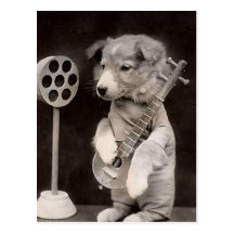 Doggy Radio Star Postcards