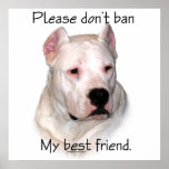 Dogo Argentino Anti-BSL Poster