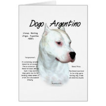 Dogo Argentino History Design Greeting Cards
