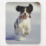 Dogs - 1 mousepads