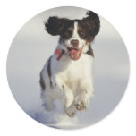 Dogs - 1 stickers