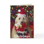 Dogs - 2 Christmas Greetings cards