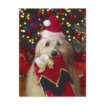 Dogs - 2 Christmas Greetings postcards