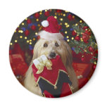 Dogs - 2 magnets