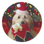 Dogs - 2 stickers