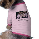 Dogs are adorable! pet clothing