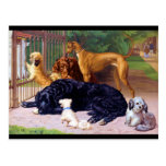 Dogs at the Gate Post Cards