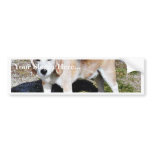 Dogs Beagles bumper stickers