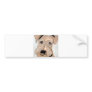 dogs by eric ginsburg bumper sticker