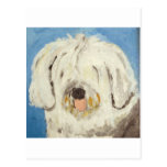 dogs by eric ginsburg post cards