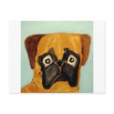 dogs by eric ginsburg postcards