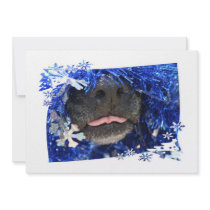 Dog's Christmas Opinion Tongue Out (barely) Personalized Invitation