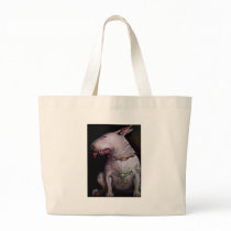 Dogs eat cats bags