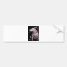 Dogs eat cats bumper stickers