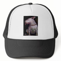 Dogs eat cats mesh hat