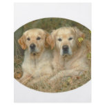 Dogs Flyer Design
