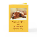 Dogs Going Over the Rainbow cards