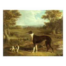 Dogs, Greyhound and Spaniel; Doctor Fop by Herring Personalized Invitations
