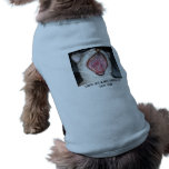 dogs hate cats o.o pet clothing