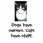 Dogs have owners. Cats have staff. T shirt