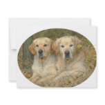 Dogs invitations