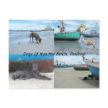 Dogs Of Hua Hin Beach, Thailand postcards