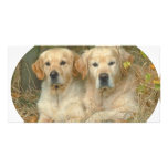 Dogs Photo Greeting Card