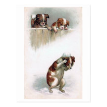 "Dogs playing Snowballs" Vintage Postcard