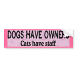 Dogs vs. Cats bumper stickers