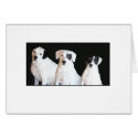 Dogs with Heart cards