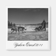 Dogsled Fun; Yukon Quest 2011 Fridge Magnet