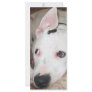 dogsmay2006 custom rack card