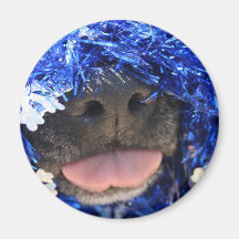 DogTongueOutBlueTinselsimpleframe Fridge Magnet