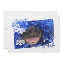 DogTongueOutBlueTinseltreeframe