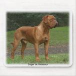 Dogue de Bordeaux 9Y201D-159 Mouse Mats