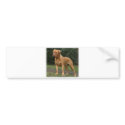 Dogue de Bordeaux 9Y201D-193 bumper stickers