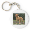 Dogue de Bordeaux 9Y201D-193 keychains
