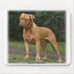 Dogue de Bordeaux 9Y201D-193 mousepads