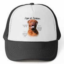 Dogue de Bordeaux History Design