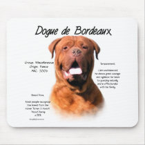 Dogue de Bordeaux History Design