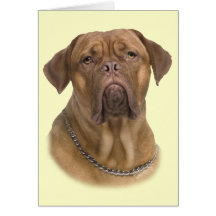 Dogue De Bordeaux Portrait Card