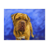 Dogue de Bordeaux Postcards