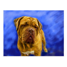 Dogue de Bordeaux Postcards
