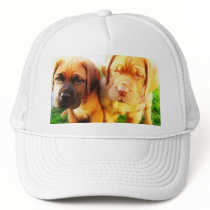 Dogue de Bordeaux puppies hat